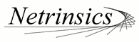 Netrinsics(tm)